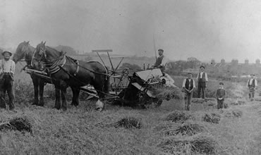 Hay threshing